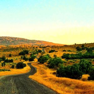 Scenic view of landscape against clear sky