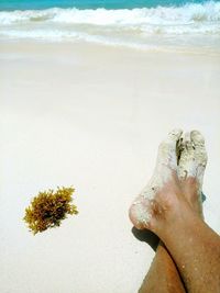 Low section of person on shore against sea