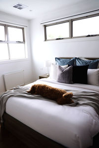 Interior of bedroom