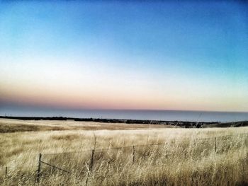 Grassy field and sea against sky during sunrise