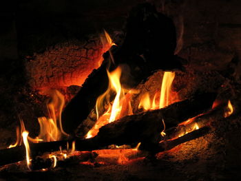 Close-up of bonfire at night