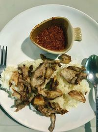 High angle view of meal served in plate