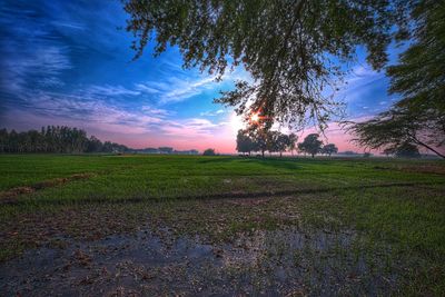 Scenic view of field against sky at sunset