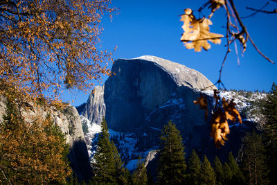 Panoramic view of rocks and trees against blue sky