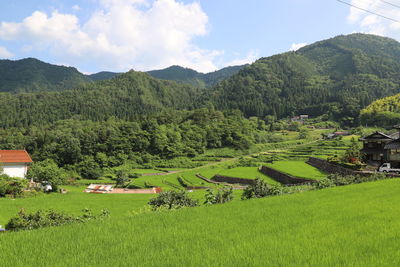 Scenic view of agricultural field against sky