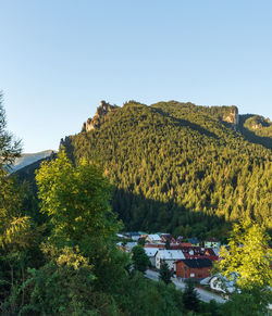 Scenic view of trees and houses against clear sky