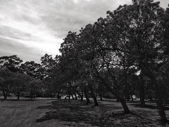 Trees against cloudy sky