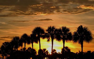 Silhouette of palm trees at sunset