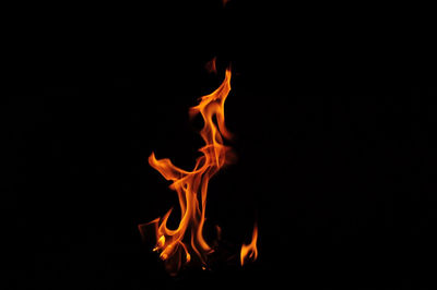 Close-up of fire burning