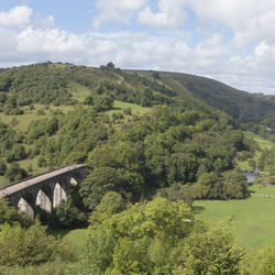 Scenic view of arch bridge amidst trees in forest against sky