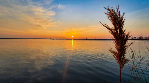 Scenic view of sea against romantic sky at sunset