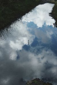 Scenic view of trees against sky