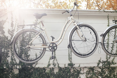 Bicycle parked by tree in city