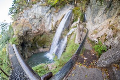 Scenic view of waterfall in forest