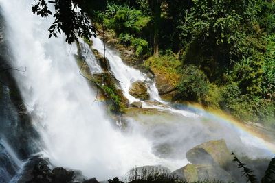 Scenic view of waterfall in forest