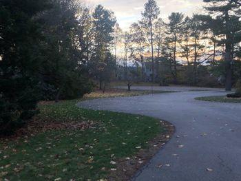 Footpath in park