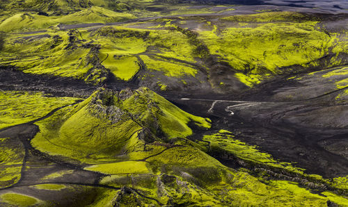 High angle view of rock