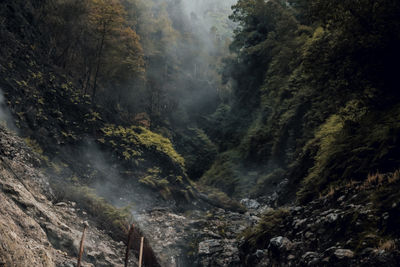 Scenic view of waterfall