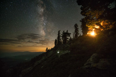 Silhouette trees against sky at night