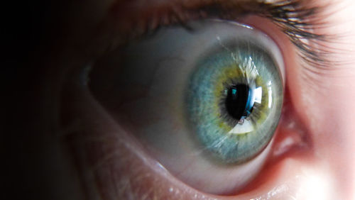 Extreme close up of human eye