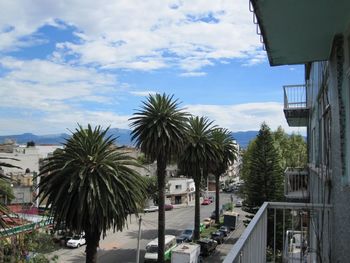 Palm trees and buildings against sky