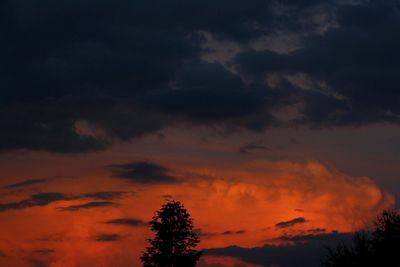 Low angle view of silhouette trees against dramatic sky