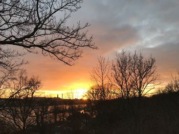 Silhouette bare trees against sky during sunset