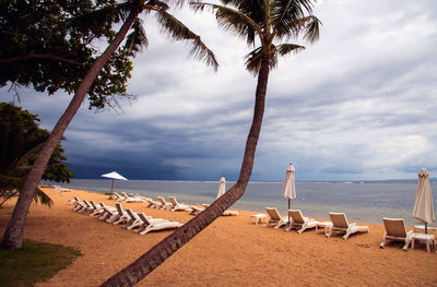 Palm trees on beach against sky