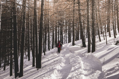 People walking on snow covered field in forest