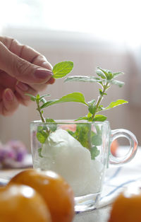 Close-up of hand holding tea cup