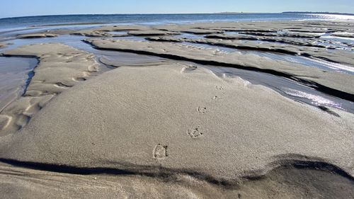 High angle view of beach