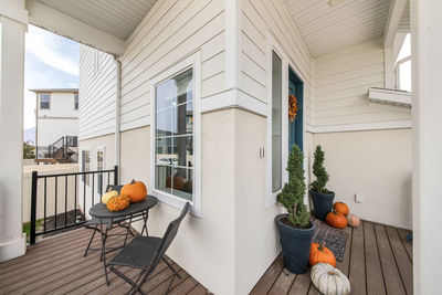 Potted plants on chair outside house