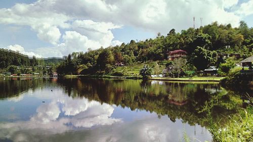 Reflection of trees in lake