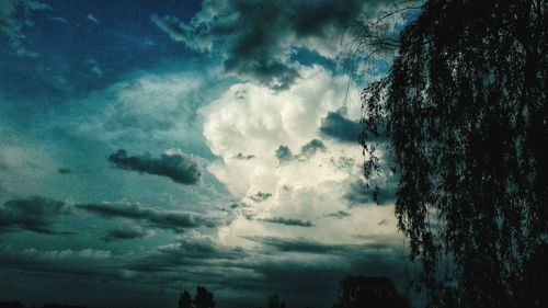 Low angle view of silhouette trees against sky