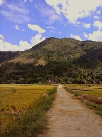 Scenic view of landscape against cloudy sky