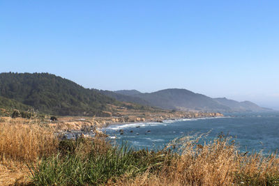 Scenic view of sea against clear blue sky