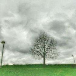 Bare tree on grassy field against cloudy sky