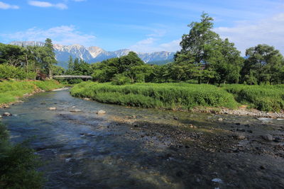 Scenic view of stream amidst field against sky