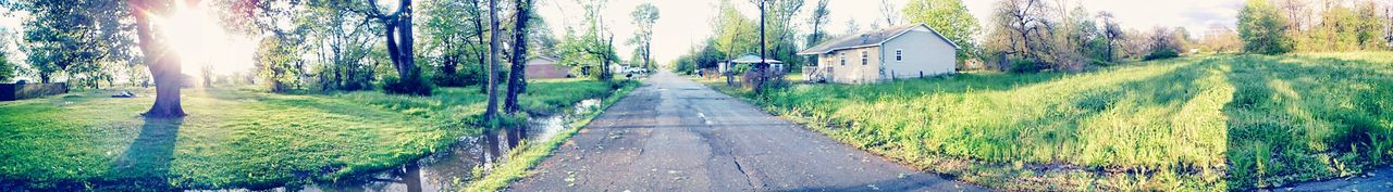 Narrow road along trees