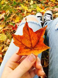 Close-up of maple leaf on field