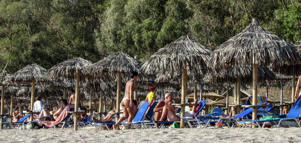 People relaxing on tree