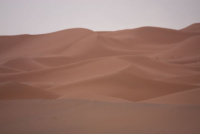 Scenic view of desert