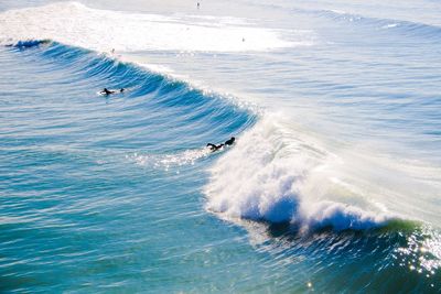 High angle view of people surfing in sea