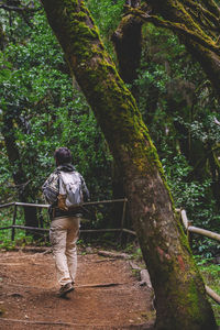 Rear view of man standing in forest