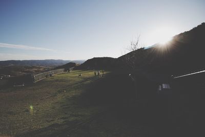 Scenic view of field against clear sky