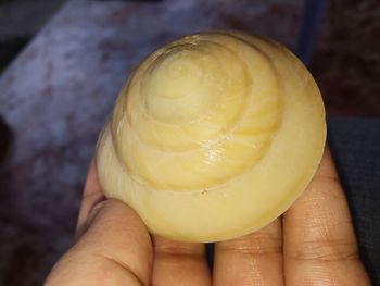 Close-up of hand holding yellow