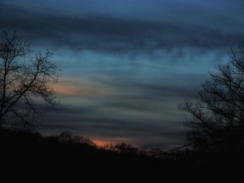 Silhouette trees against sky at sunset