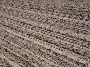 Full frame shot of agricultural field