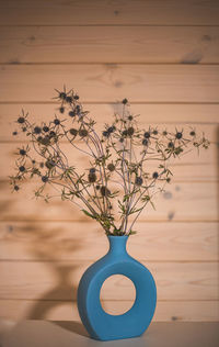 Close-up of plant on table