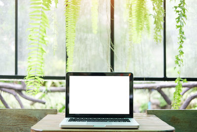 Laptop on table against plants and glass window in cafe